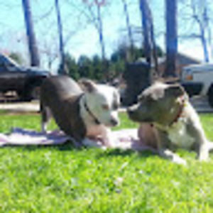 Meet your Posher, Sir ric allen